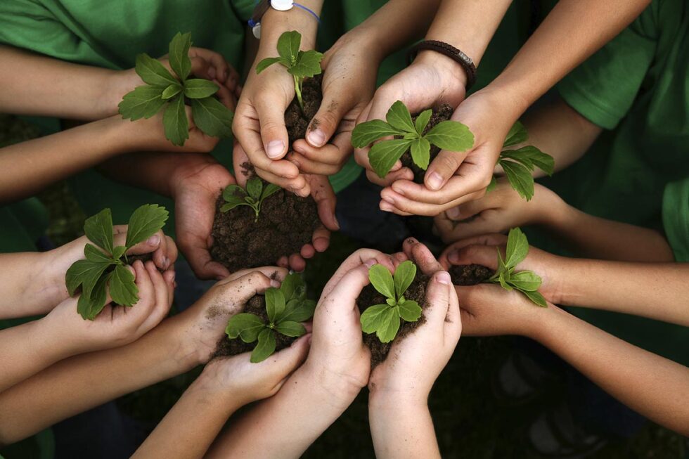 Educacion Ambiental Ninos 980x653