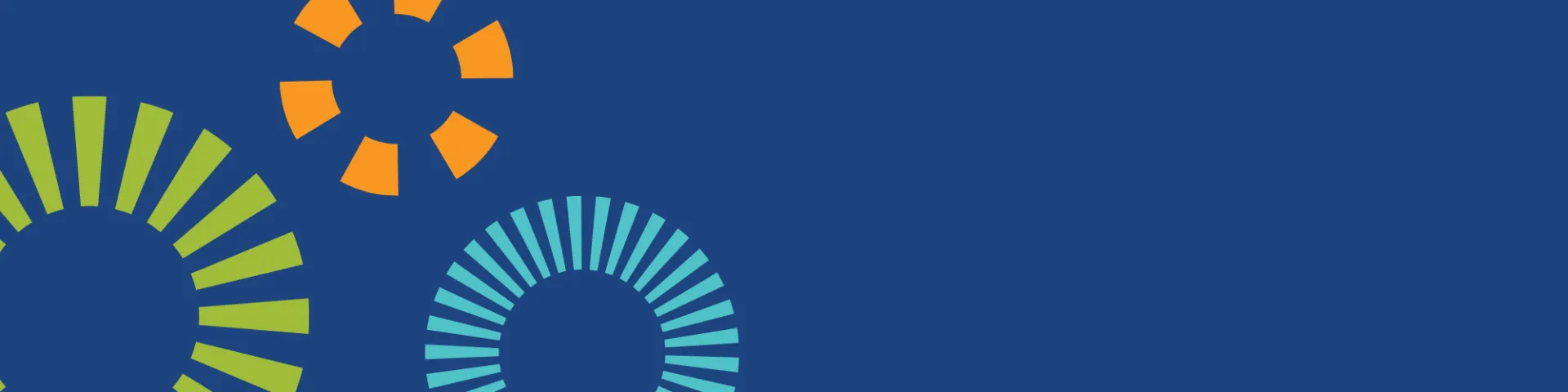 Ceah Newsletter Cta Banner 2.png